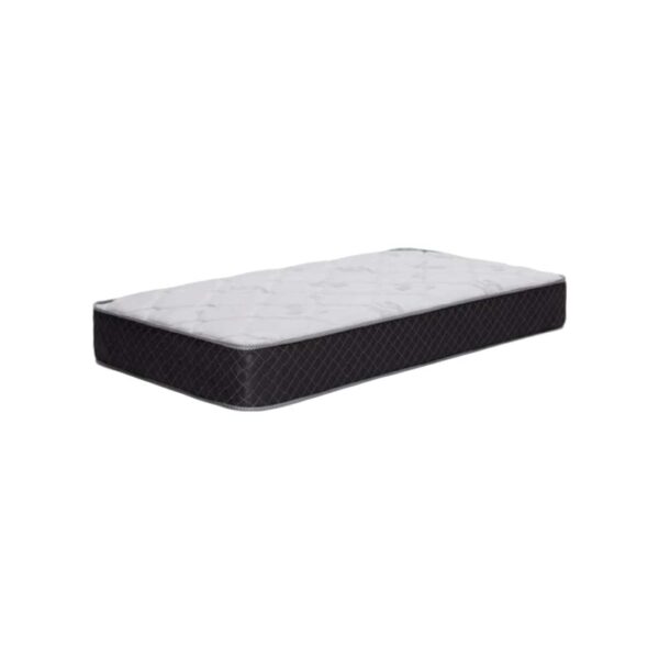 Platino 27 cm