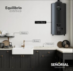 Termotanque Señorial 50 Lts C/Dual MG Gas Black