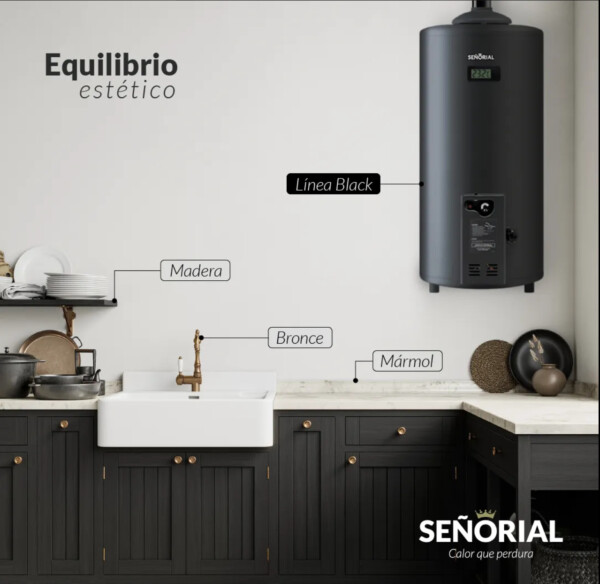 Termotanque Señorial 50 Lts C/Dual MG Gas Black