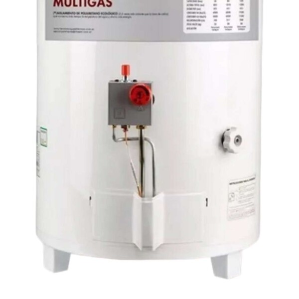 Termotanque Sherman 80 Lts C/Sup MG Pie
