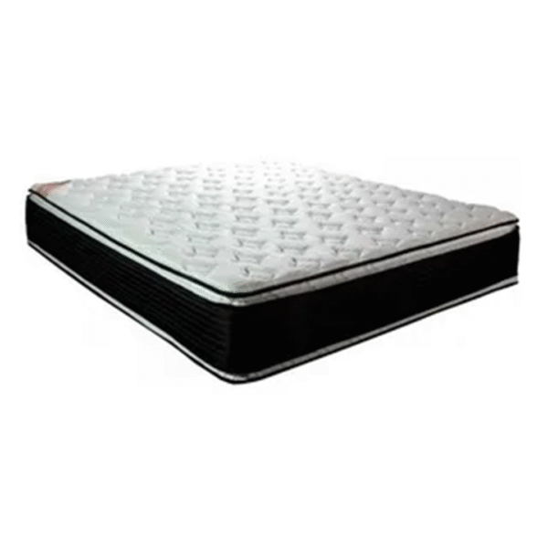 Super Lujo Negro 22 cm