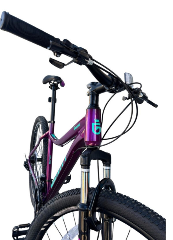 Bicicleta Gravity Dabomb