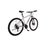 Bicicleta Gravity Benz R29