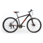 Bicicleta MTB Mint Reddy R-29