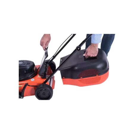 16856