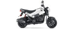 Honda NAVI 110