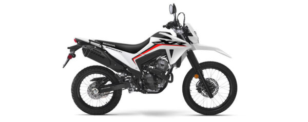 Honda XR 300 Tornado