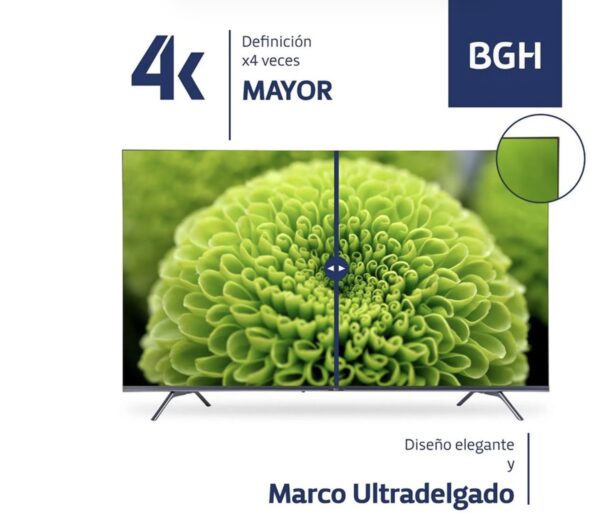 Tv 65 BGH Google Smart 4K
