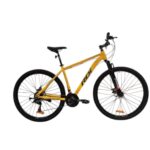 Bicicleta R-29 RDI Explorer Acero