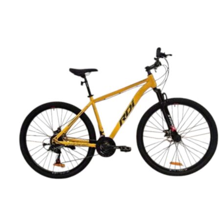 Bicicleta R-29 RDI Explorer Acero