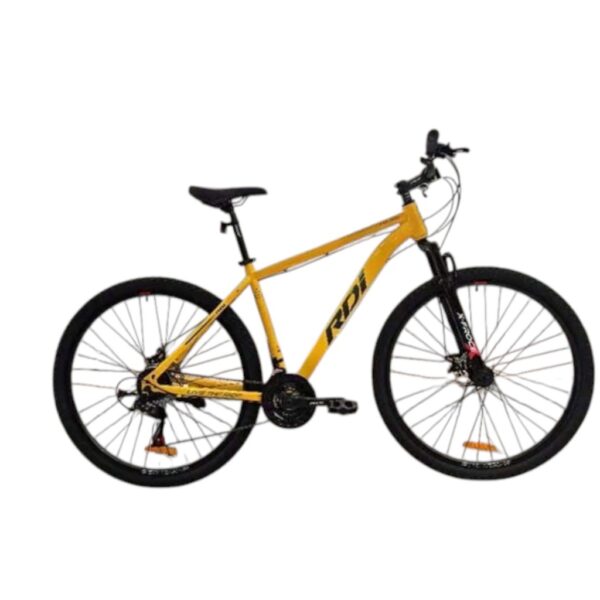 Bicicleta R-29 RDI Explorer Acero