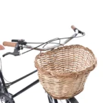Bicicleta R-26 Cletta Paseo Rondi Dama 6 Vel.