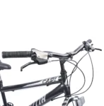 Bicicleta Cletta R-26 Caipi 21 Vel. Acero